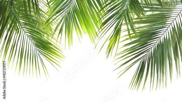 Fototapeta Vibrant green palm fronds cascade from above, creating a lush, tropical border against a clean white backdrop, evoking a sense of serene island escape in summer.