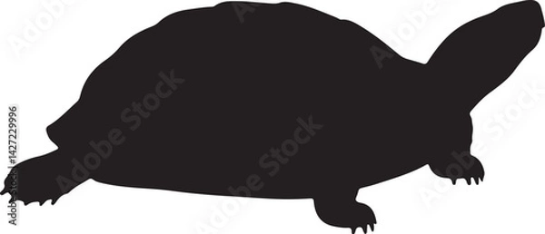 Obraz Chinese pond turtle vector silhouette on white background