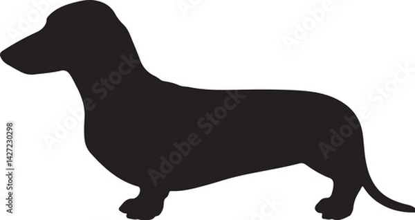 Obraz Dachshund vector silhouette on white background