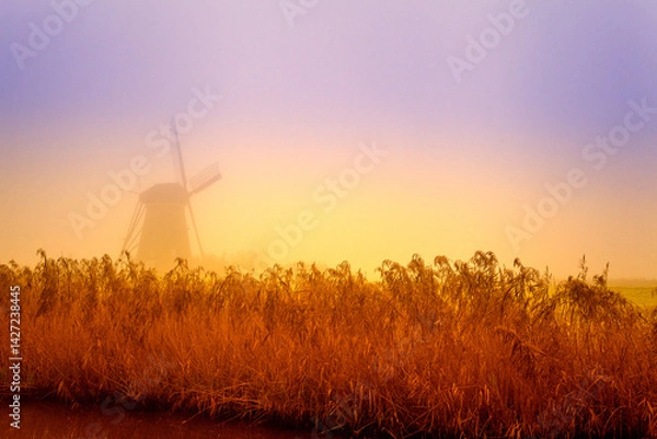 Obraz Dutch windmill in the mist