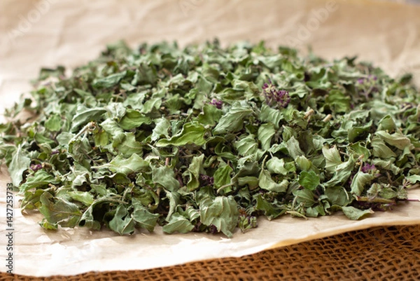 Obraz Close-up of dried oregano leaves on parchment paper. Traditional method of preserving herbs at home