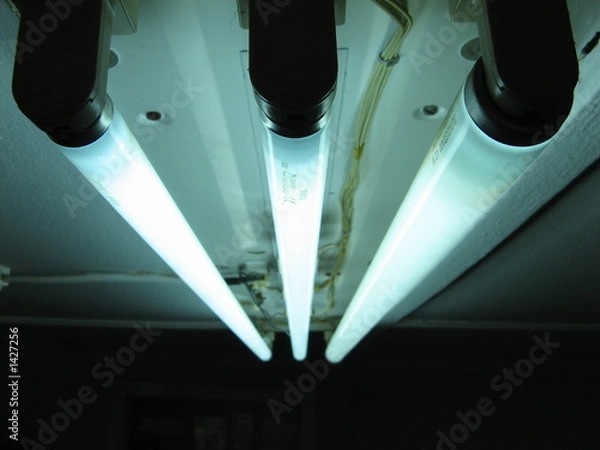 Fototapeta neon lights