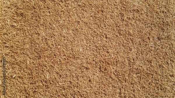 Obraz Brown Coir Doormat Texture