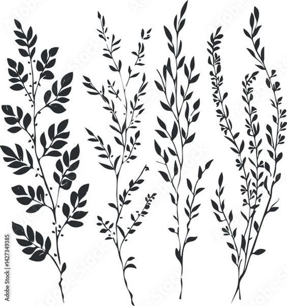 Fototapeta A collection of black silhouette illustrations of various leaves and plant branches.