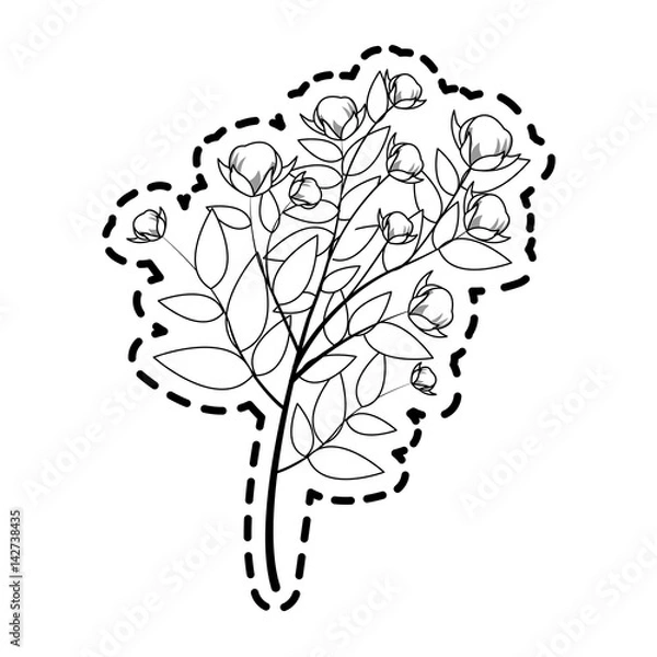 Obraz delicate flower icon image vector illustration design 
