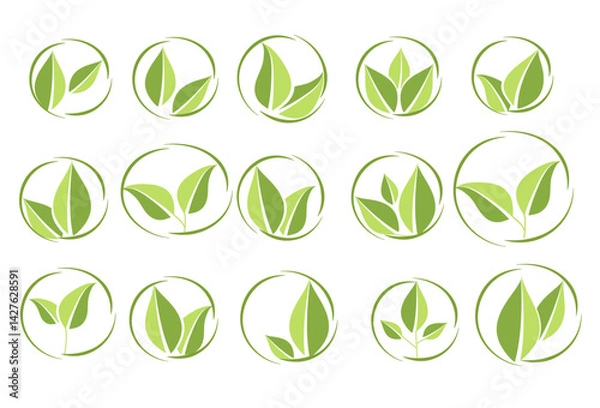 Fototapeta Vector icons of green leaves in a frame with a curly outline. Eco-leaf logo