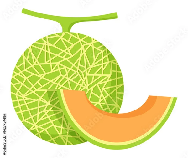 Obraz Whole and cut melon cartoon fresh summer fruit illustration