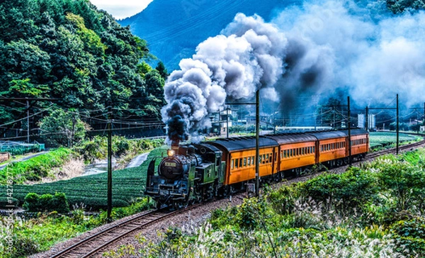 Obraz 日本・静岡県・大井川鐵道・蒸気機関車・トーマス