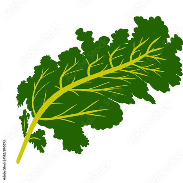 Fototapeta Green leaf illustration