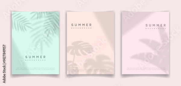 Fototapeta Summer backgrounds set with a soft leaf shadow