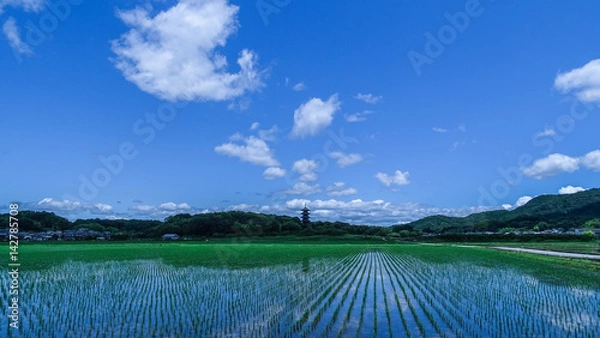 Obraz 日本・岡山県・総社市・備中国分寺・五重塔・青空