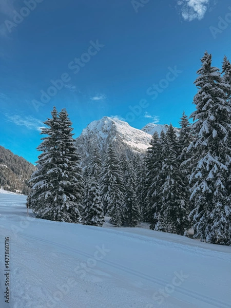 Fototapeta Winter wonderland scene featuring snow-covered pine trees, a majestic mountain peak, and a pristine blue sky