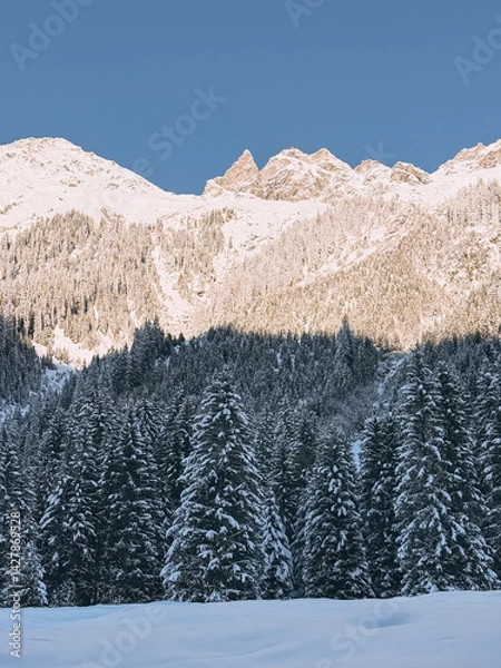 Fototapeta Winter landscape featuring snow-covered pine trees and majestic mountain peaks under a clear blue sky