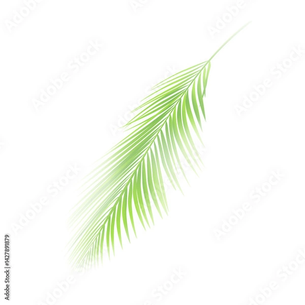 Obraz Coconut leaf summer icon design element 