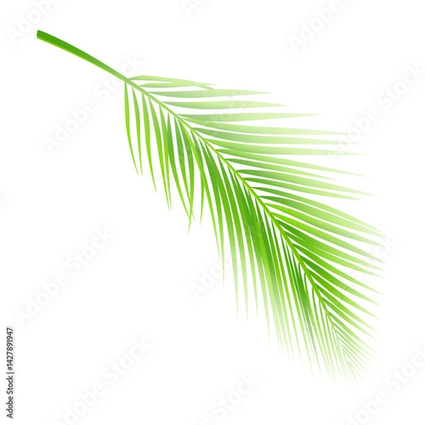 Fototapeta Coconut leaf summer icon design element 
