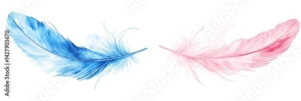 Fototapeta Delicate Dual Feathers