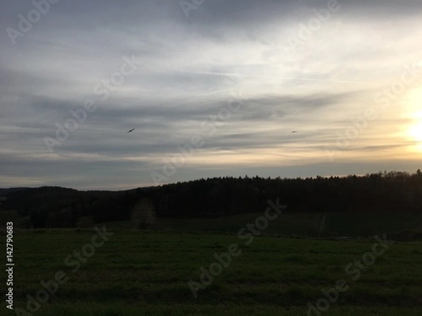 Obraz Vögel am Himmel