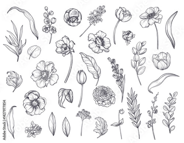 Obraz Vector collection of spring flowers, leaves and branches. tulips, anemones and other plants.