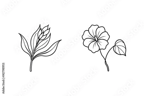 Fototapeta Minimalist Floral Outlines Black And White Botanical Illustration Elements For Creative Design