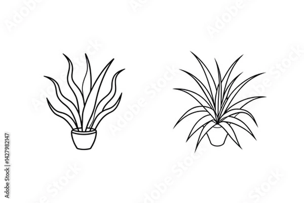 Fototapeta Two Potted Plants In Black And White Line Art Illustration Simple Style