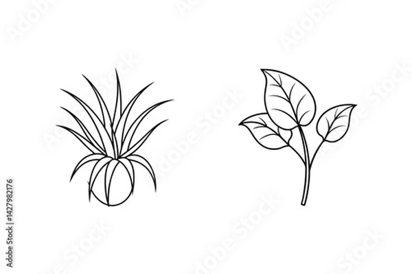 Fototapeta Minimalist Plant Illustrations Featuring Aloe Vera And Leafy Branch On White Background