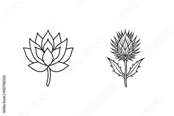 Fototapeta Elegant Black Outline Drawings Of A Lotus Flower And A Thistle Blossom