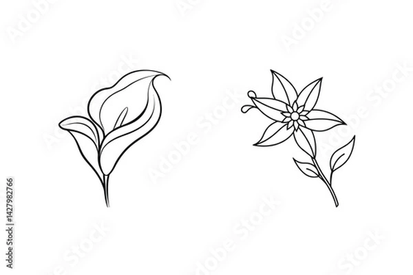 Fototapeta Black And White Line Art Of Two Floral Illustrations Minimalist Style