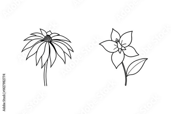 Fototapeta Two Elegant Flowers In Black And White Line Art Illustration Set
