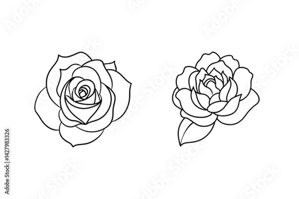 Fototapeta Two Beautiful Black Line Roses On White Background For Tattoo Design