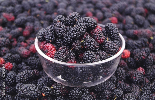 Fototapeta Close up of glass bowl with mulberry on ripe mulberry berries background.