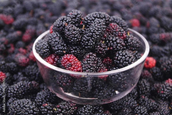 Obraz Close up of bowl with ripe mulberry berries on mulberry background.