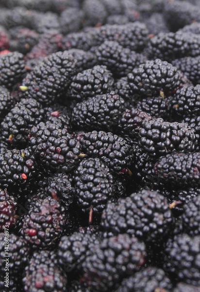 Obraz Ripe mullbery close up