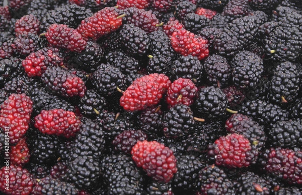 Fototapeta Mulberry berries background.