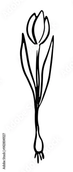 Obraz Flower minimalist hand drawing doodle element