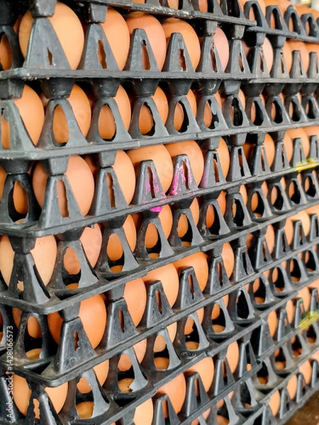 Obraz Stacks of fresh eggs in black trays
