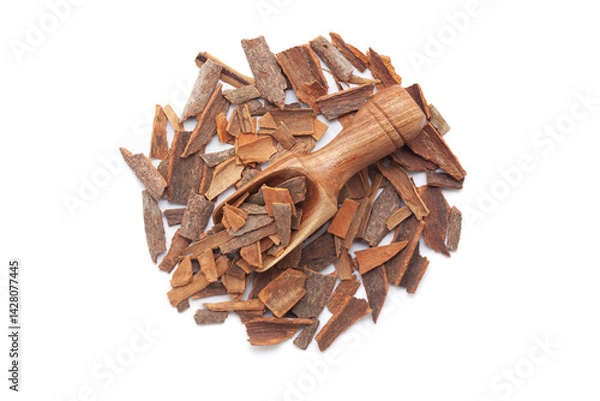 Obraz A wooden scoop filled with organic Cinnamon sticks (Cinnamomum verum), placed on a heap of cinnamon sticks, isolated on a white background.