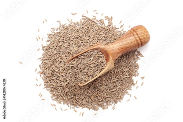 Obraz A wooden scoop filled with organic Cumin Seeds (Cuminum cyminum) or jeera, placed on a heap of whole Cumin Seeds, isolated on a white background.