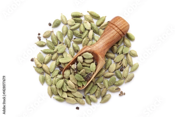 Obraz A wooden scoop filled with organic cardamom (Elettaria cardamomum), placed on a heap of whole cardamom, isolated on a white background.
