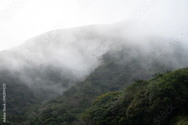 Obraz Misty fog surrounding in the valley of Yangmingshan National Park, in Taipei, Taiwan.