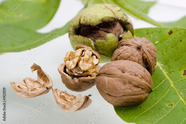 Fototapeta walnüsse