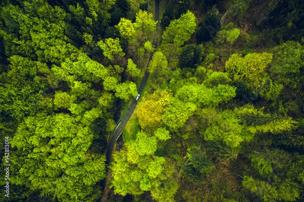Fototapeta Top view at a road in the green forest, Czech republic