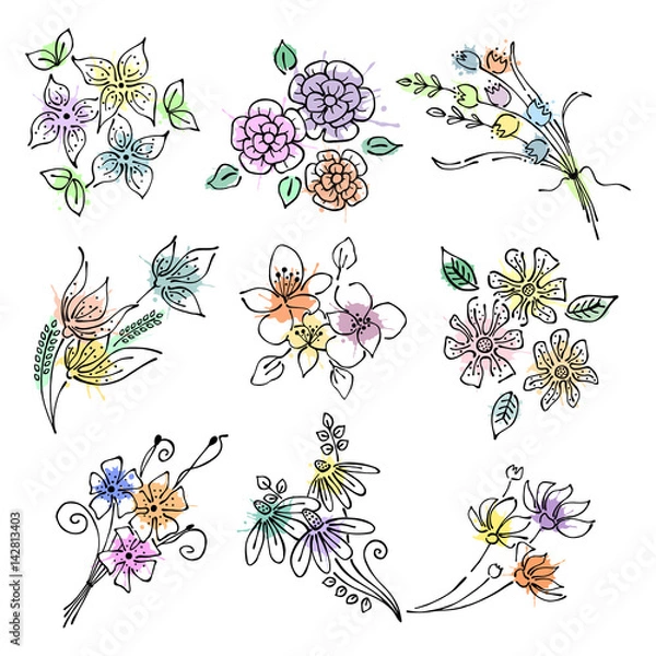 Obraz Vector floral set, graphic illustration. Flowers with leaves isolated on the white background. Hand drawn contour lines and strokes with splash, drops, spot. Outline drawing