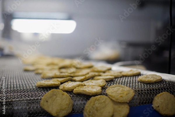 Fototapeta Breaded chicken production line in food factory  automated conveyor belt system in industrial food processing plant