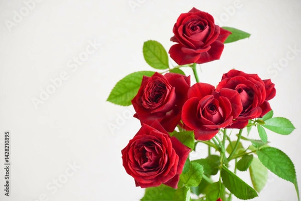 Fototapeta 赤いばら