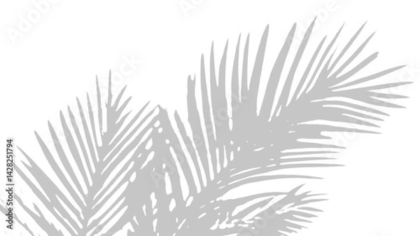 Obraz  Gray palm leaves shadow on a white abstract background. Minimalist tropical design. Soft silhouettes. Botanical elegance. Neutral tones. Modern aesthetic. Subtle texture. Serene atmosphere
