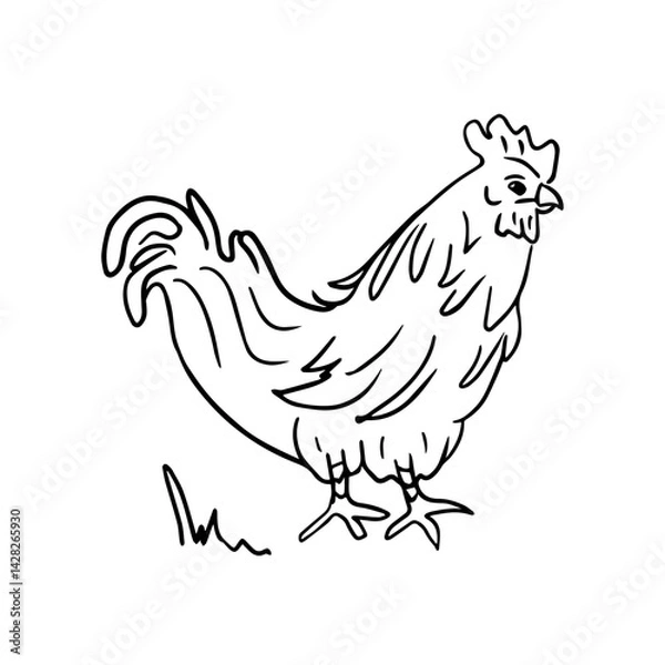 Fototapeta A hand-drawn silhouette of a rooster in the style of doodles. Wildlife, the concept of farming. Raising animals. Vector illustration for printing on clothes, packaging, coloring books
