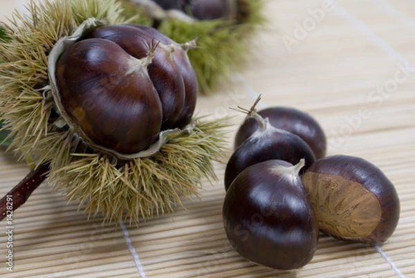 Fototapeta esskastanien