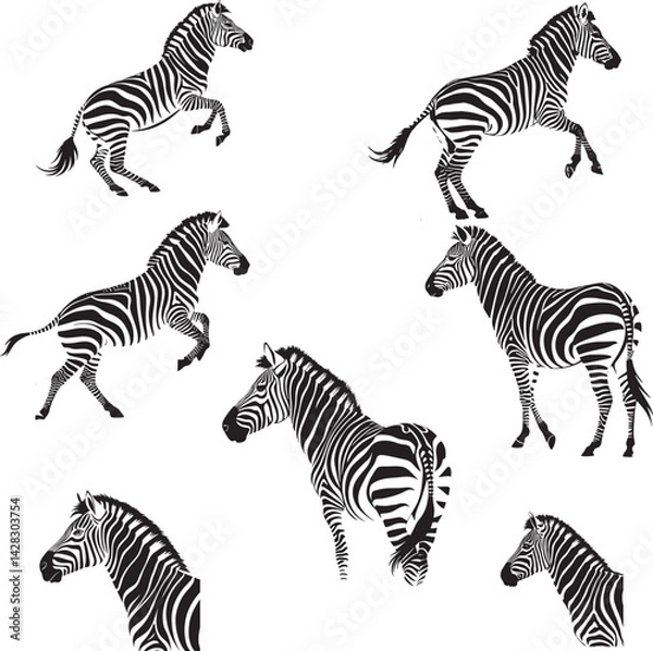 Obraz zebras in the wild
