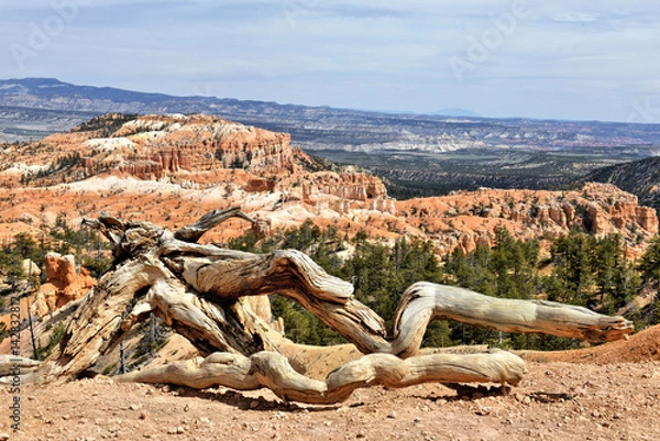Fototapeta Brice Canyon