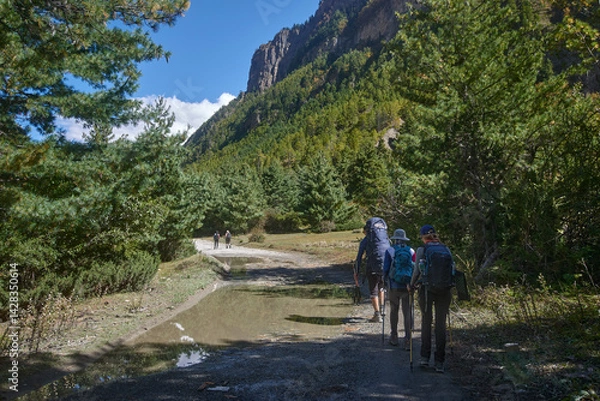Fototapeta Happy group hikers with backpacks walking together on trek in green forest with mountains in background.